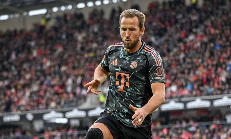 确实需要非 确实需要非